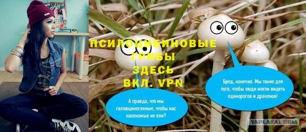 твердый Балабаново