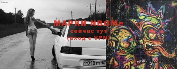 индика Кулебаки