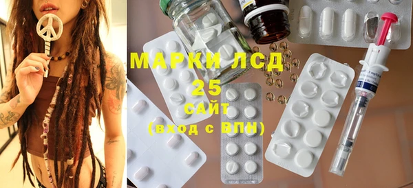 ГАЛЛЮЦИНОГЕННЫЕ ГРИБЫ Баксан