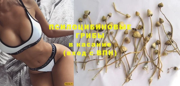 ГАЛЛЮЦИНОГЕННЫЕ ГРИБЫ Баксан