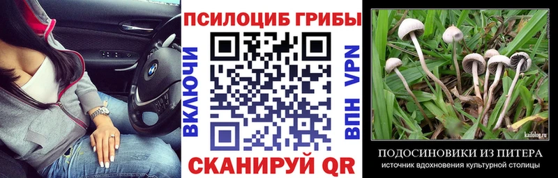 гидра зеркало  Звенигород  Псилоцибиновые грибы Cubensis  закладки 